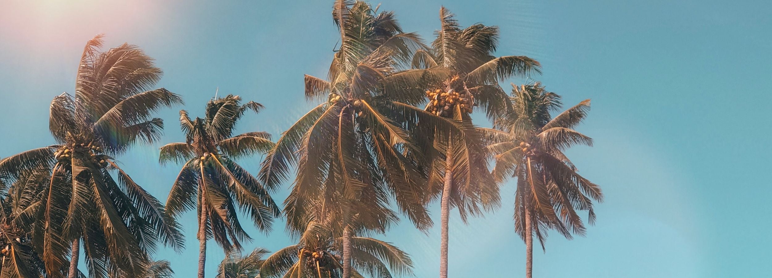 Summer Staples
